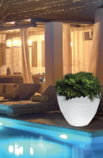 Wisdom illuminato lighting tree pot - Image 2