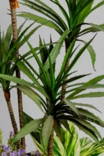 Cactus Dracaena Artificial Tree 150-160 cm - Image 4