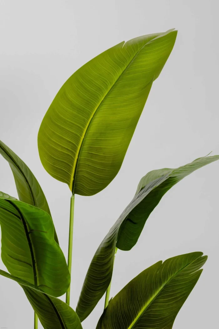 Banana with Astioma flower Artificial Tree 180 cm - Image 4