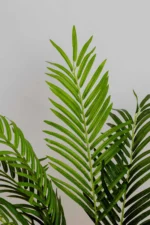 Areca with white flowers Artificial Tree 160-170 cm - Image 2