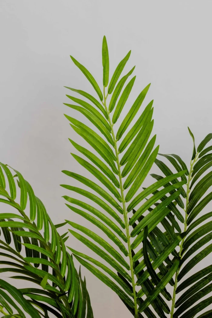 Areca with white flowers Artificial Tree 160-170 cm - Image 2