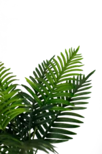 Areca green artificial tree  170-180 cm - Image 2