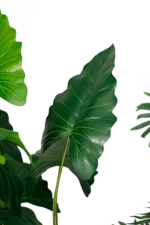 Alocasias Artificial tree planter 170-180 cm - Image 5