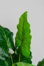 Alocasias Artificial Tree  170 cm - Image 3
