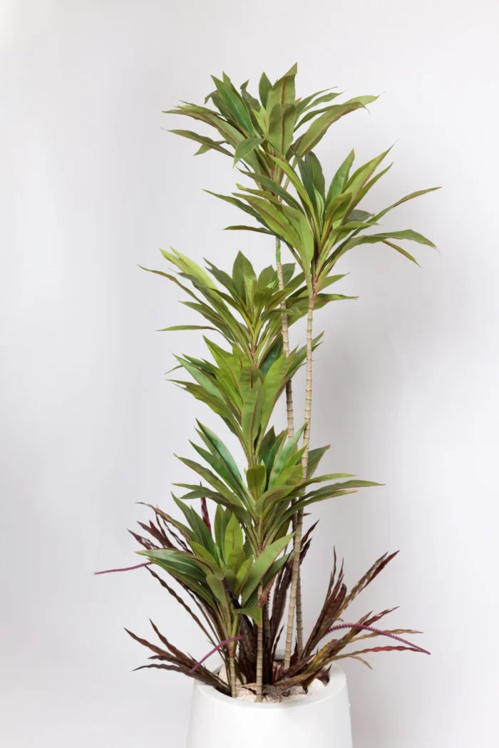 Green Dracaena Artificial Tree 170-180 cm - Image 3