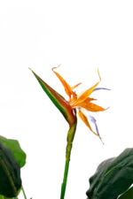 Bird of paradise artificial tree planter 160-170 cm - Image 4
