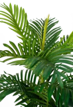 EVERGREEN Alocasias  ELEGANCE planter 180 cm - Image 4
