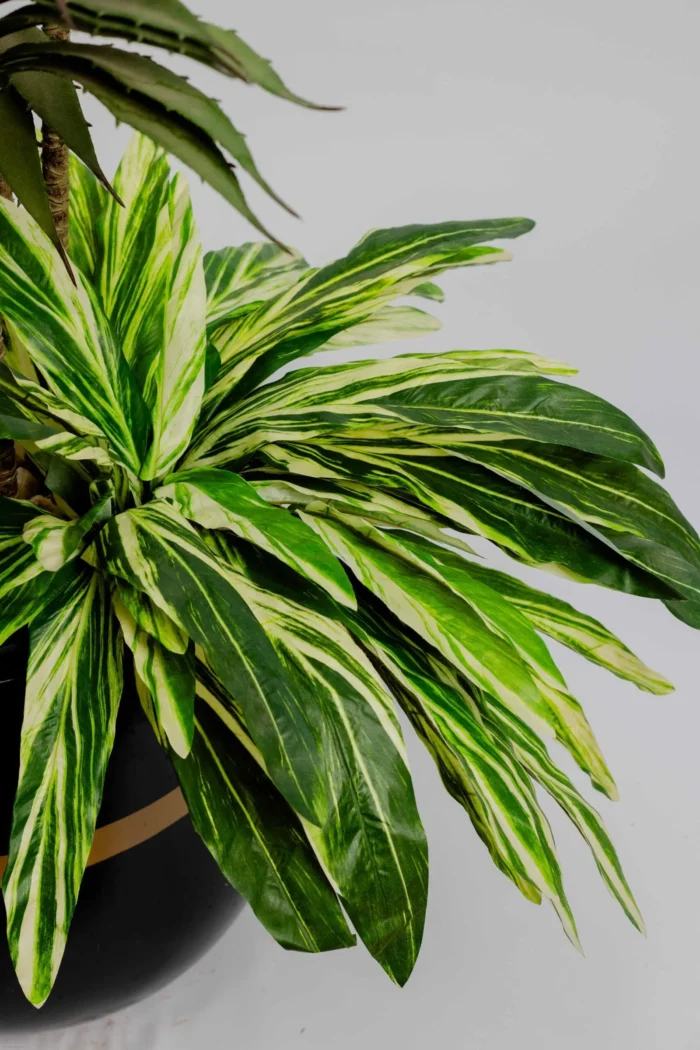 Cactus Dracaena Artificial Tree 150-160 cm - Image 2