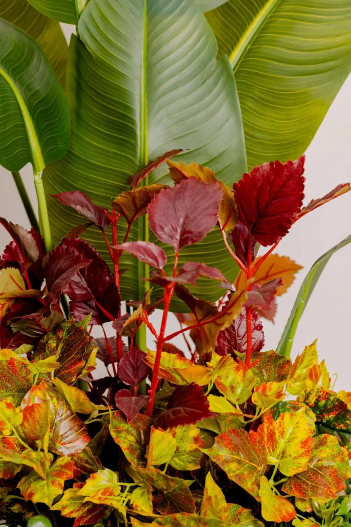 Tropical Banana with Crotone Artificial Tree 180-190cm - Image 3