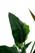 Bird of paradise artificial tree planter 160-170 cm - Image 3
