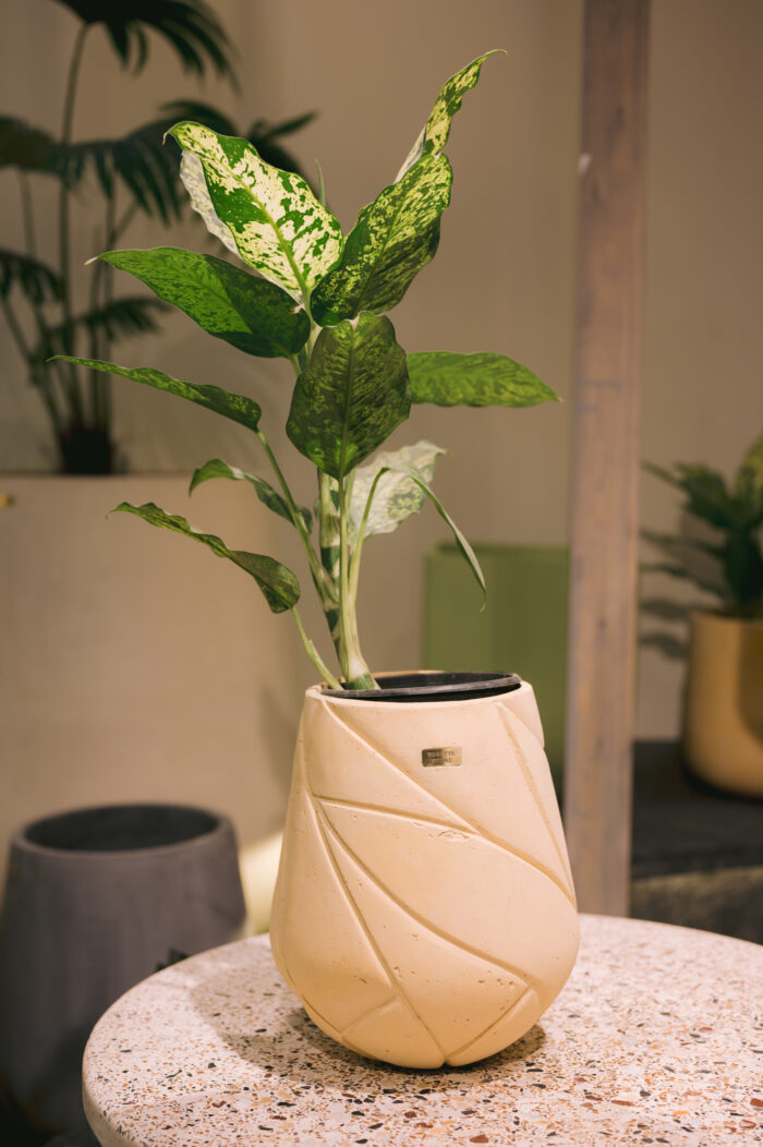 Lotus GRC Tree pot - Image 3