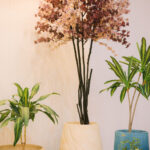Lotus GRC Tree pot