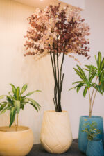 Lotus GRC Tree pot