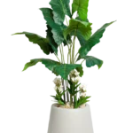 Alocasias Artificial Tree  170 cm