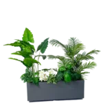 Alocasias Artificial tree planter 170-180 cm