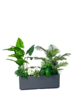 Alocasias Artificial tree planter 170-180 cm