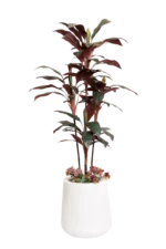 Dark red Corydaline Artificial Tree 170 cm