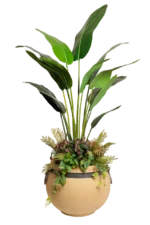 Royal Banana with shrubs Artificial Tree 200-230 cm