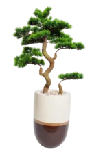 Bonsai Artificial Tree 130-140 cm