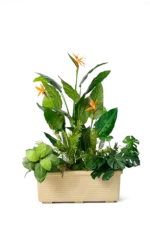 Bird of paradise artificial tree planter 160-170 cm