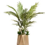 Areca with white flowers Artificial Tree 160-170 cm