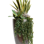 Tiger Cactus with lavender Artificial Tree 160-170 cm