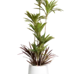 Green Dracaena Artificial Tree 170-180 cm