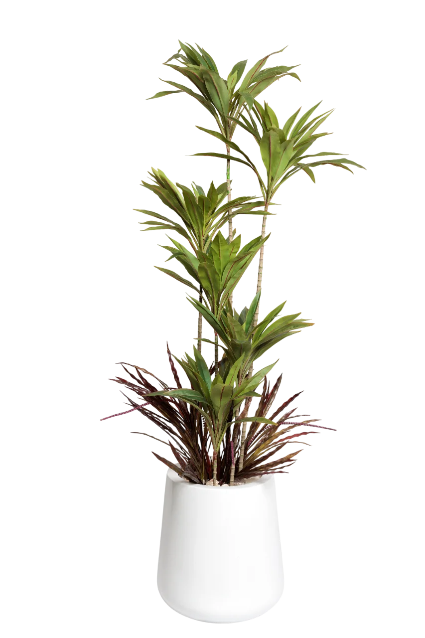 main Green Dracaena Artificial Tree 170-180 cm - Image 1