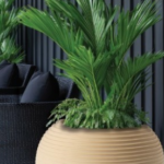 ORBITA Tree Pot