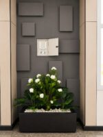 Oceania Jasmine planter