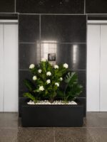 Oceania Jasmine planter - Image 2