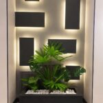 India latan palm planter