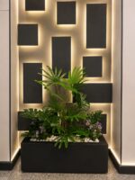 India latan palm planter