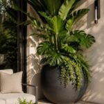 Nilosphere planter